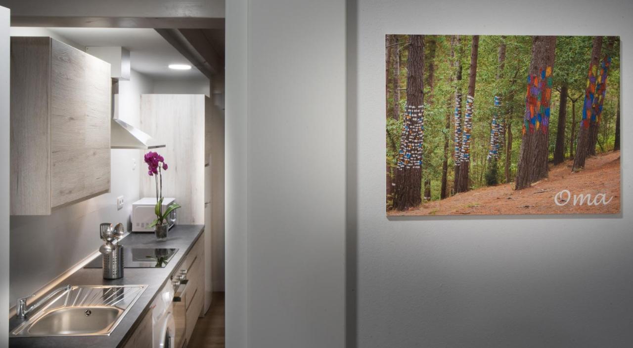 Apartamentos Hondarmendi غيرنيكا إي لونو المظهر الخارجي الصورة
